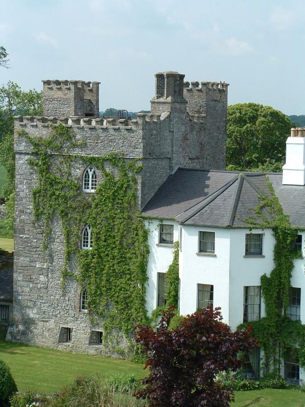 Barberstown Castle Hotel Straffan Exterior photo